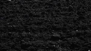 Composted Black Loam Top Soil (Delivered by the yard)