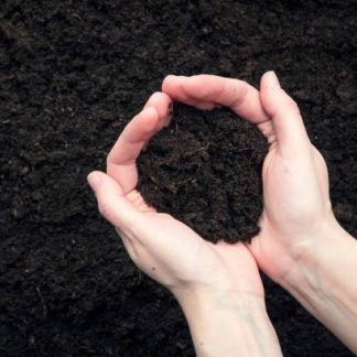 Premium Garden Soil